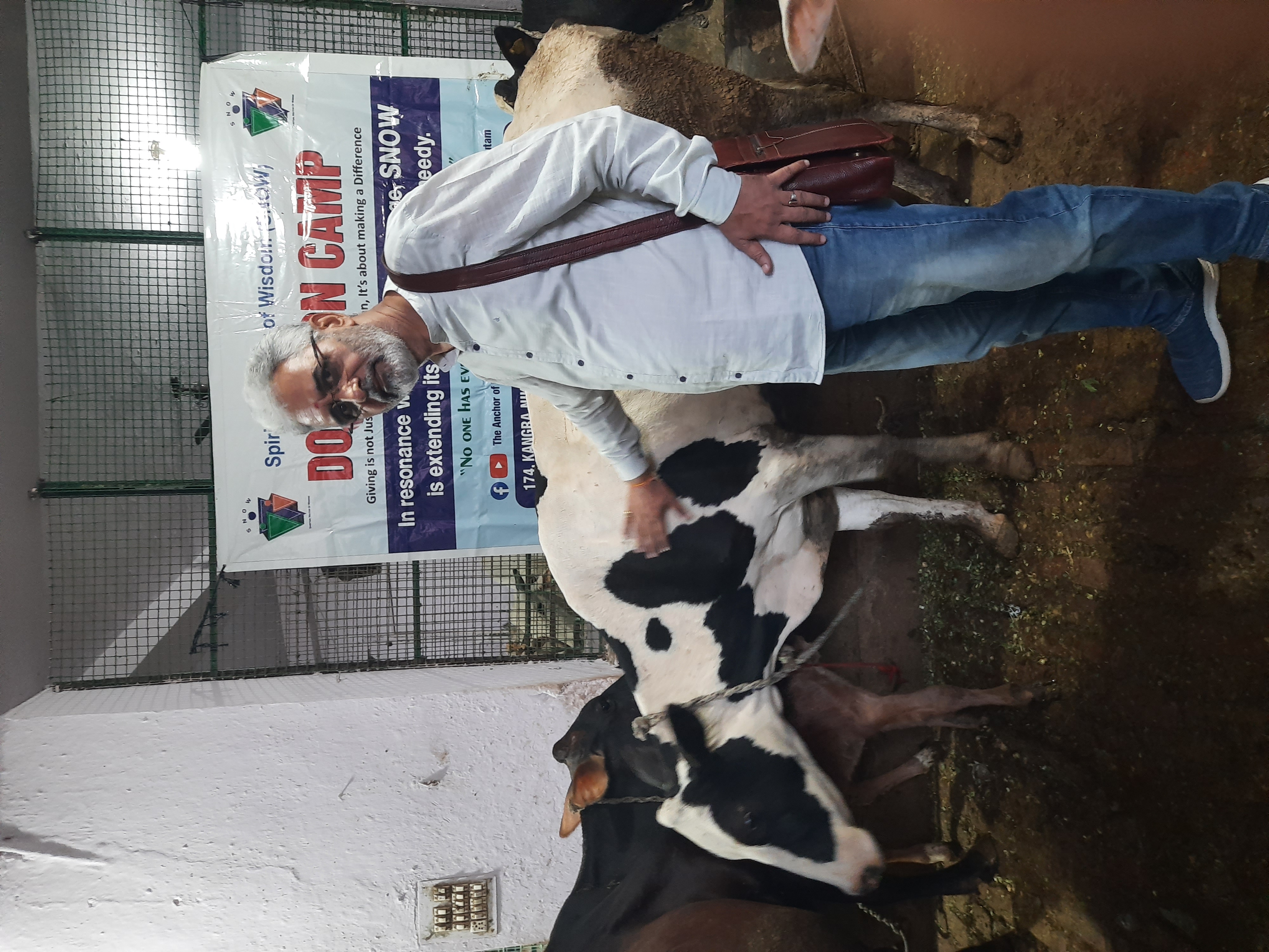 Cow donation at Gaushala